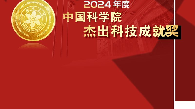 数字化转型的关键：如何选择靠谱的解决方案提供商**